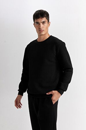 DeFacto Siyah Regular Fit Bisiklet Yaka Jakarlı Sweatshirt D5392AX24AUBK27