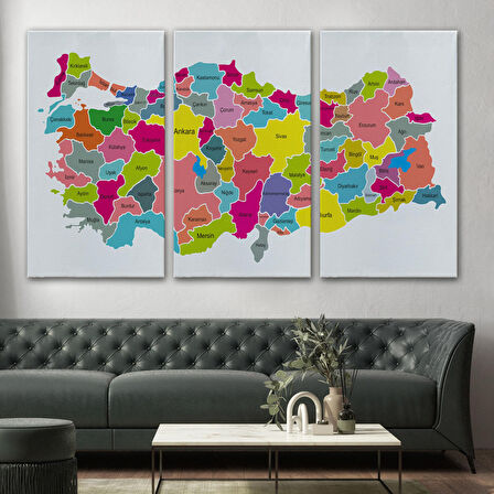 Harita Sepeti Türkiye Haritası Kanvas Tablo-1023