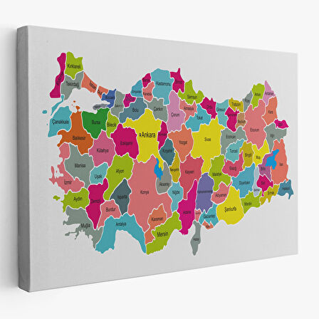 Harita Sepeti Türkiye Haritası Kanvas Tablo-1023