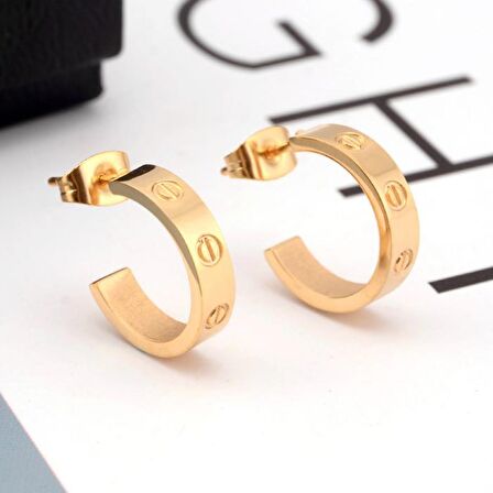Chavin Gold Vidalı Tasarım Bayan Çelik Küpe eh81sr