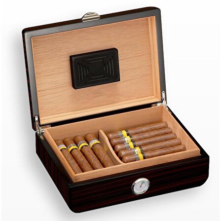 Falconetti Kahverengi Humidor Puro Kutusu rc45