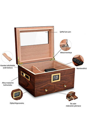 Falconetti Def olu Sedir Ağacı Camlı Çekmeceli Humidor Puro Kutusu rc56