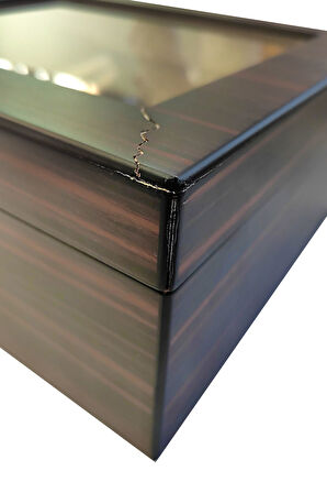 Falconetti De folu Kırmızı Camlı Humidor Puro Kutusu rc42kr-d