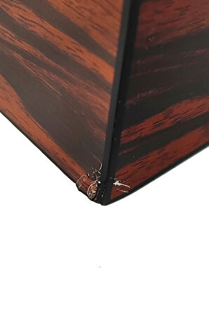 Falconetti Def olu Kahverengi Humidor Puro Kutusu rc18-d