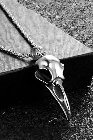 Chavin Gri Karga Kafasu Kuzgun iskelet Çelik Erkek Kolye er99byx