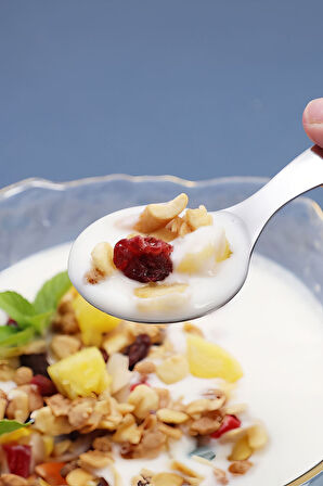 304 Çelik Mini  9 cm Tatlı Dondurma Muhallebi Baharat Kaşığı cin752byx