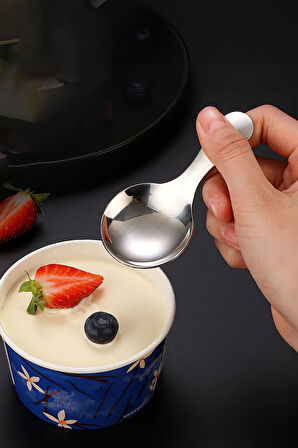 304 Çelik Mini  9 cm Tatlı Dondurma Muhallebi Baharat Kaşığı cin752byx