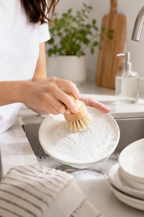 Çok Amaçlı Doğal Kıllı Patates Sebze Temizleme ve Bulaşık Banyo Fayans Ovma Fırçası mt301