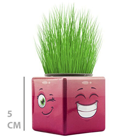 Kapamarka Çim Adam Mini Küp Emoji Figürlü 1 Adet