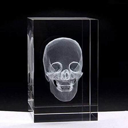 Kapamarka 3D Kristal Kafatası Modeli