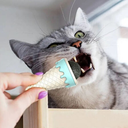 Kapamarka DONDURMA ŞEKLİNDE KEDİ NANESİ KEDİ OTU
