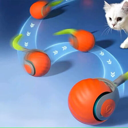 Kapamarka Otomatik Hareketli Kedi Oyuncağı