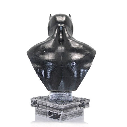 Kapamarka Darth Vader Büst