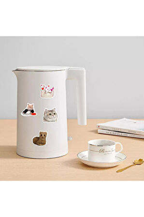  Çılgın Kediler Macbook Notebook Tablet Telefon Ajanda Laptop Defter Sticker Seti