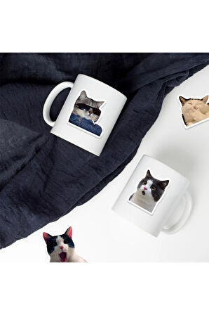  Çılgın Kediler Macbook Notebook Tablet Telefon Ajanda Laptop Defter Sticker Seti