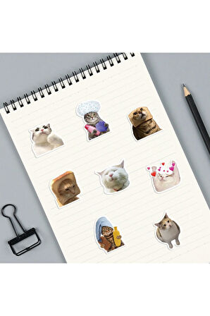  Çılgın Kediler Macbook Notebook Tablet Telefon Ajanda Laptop Defter Sticker Seti