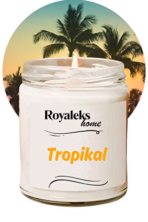 Doğal Özel Seri Kokulu Dekoratif Kavanoz Mum 210 cc - Tropikal Esans - RYL