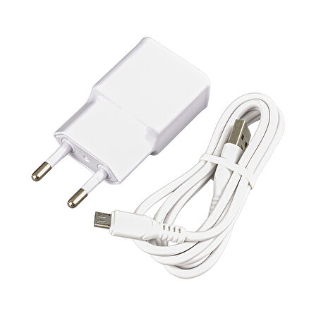 WK-21434 S6 2.1 AMPER ŞARJ BAŞLIK ADAPTÖRÜ + MICRO USB KABLO(NO:3) 