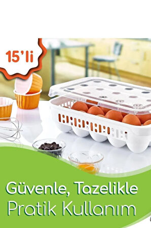 15 Bölmeli Yumurta Kabı -AK680