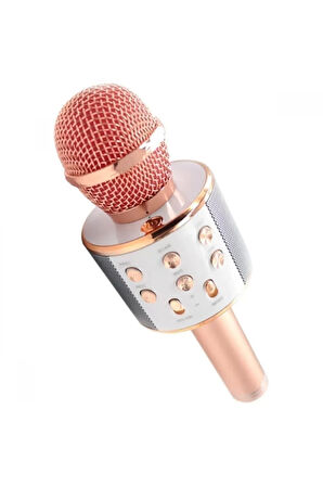 Karaoke Mikrofon WS-858 -AND01096