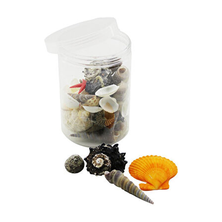 PLASTİK KAVANOZ  MİDYE DENİZ KABUK VAZO TAŞI  GO5060Gok120614