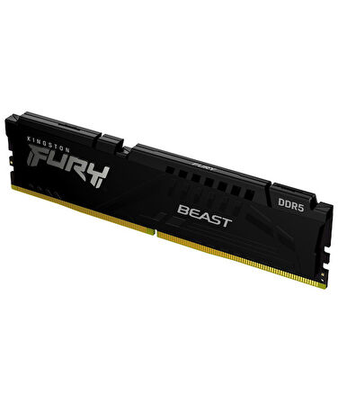 8GB 5600MT/s DDR5 CL36 DIMM Beast Black EXPO Turkey