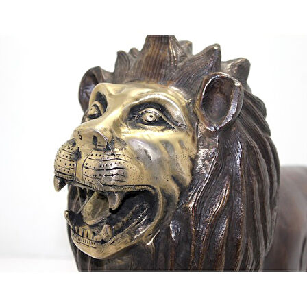 Periboia Metal Aslan Biblosu 60 Cm 