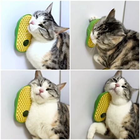 Periboia Silikon Kaşıyıcılı Kedi Otu 