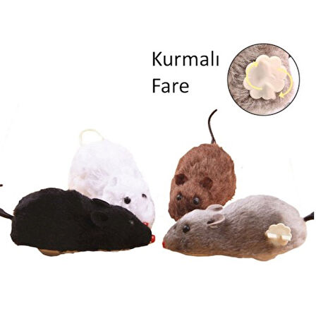 Periboia Kurmalı Fare Kedi Eğitim Oyuncağı