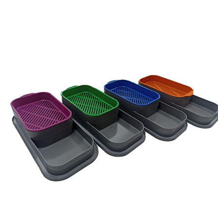 Periboia Topraksız Kedi Çimi Kabı