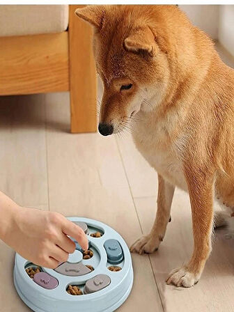 Köpek Mama Bulmaca Oyuncak 