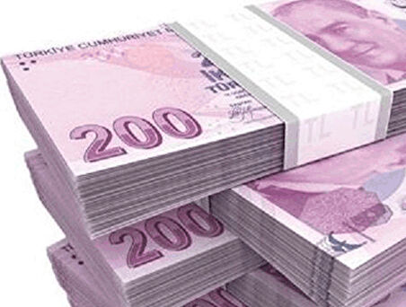 Periboia Düğün Parası - 100 Adet 200 TL