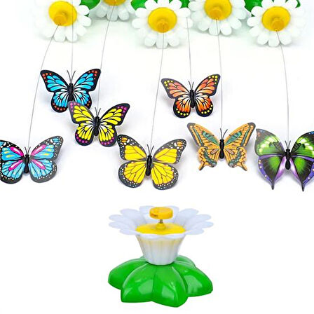 Periboia Pilli Hareketli Dönen Kelebek Kedi Oyuncağı Catch Butterfly