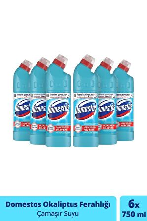 Domestos Maksimum Hijyen Okaliptus Normal Jel Çamaşır Suyu 6 x 750 ml