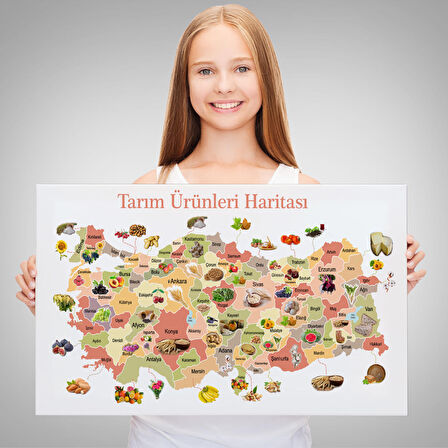 Harita Sepeti Tarım Ürünleri Yerli Malı Haftası Türkiye Haritası 1046