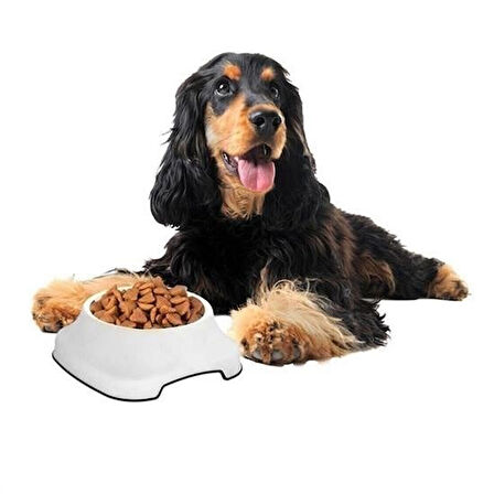 Meleners® Silikon Kaydırmaz Taban Plastik Kedi ve Köpek Mama ve Su Kabı 2 L