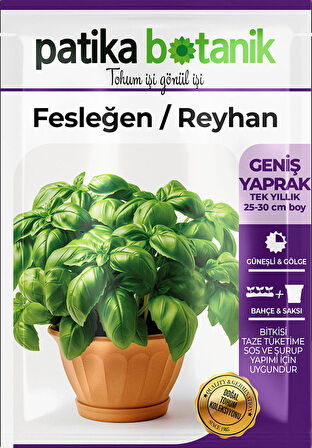 80 Adet Yerli Ata Yeşil Fesleğen - Yeşil Reyhan (Ocimum Basilicum) Tohumu