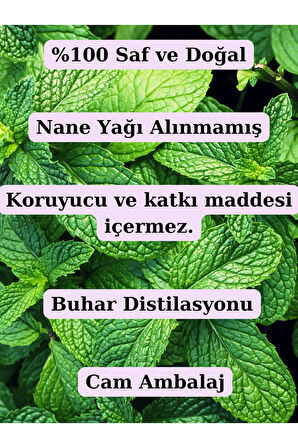 Saf Nane Hidrosolü 100 Ml - (nane Suyu)