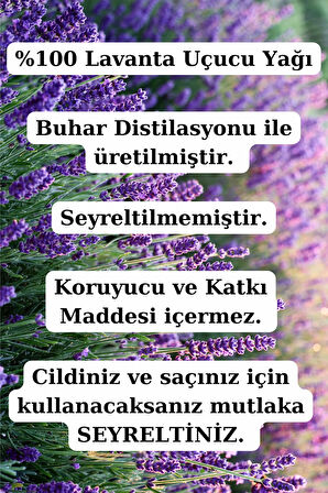 Lavanta Yağı (10 ML) - %100 Seyreltilmemiş, Doğal Seyreltilmemiş Lavanta Uçucu Yağı