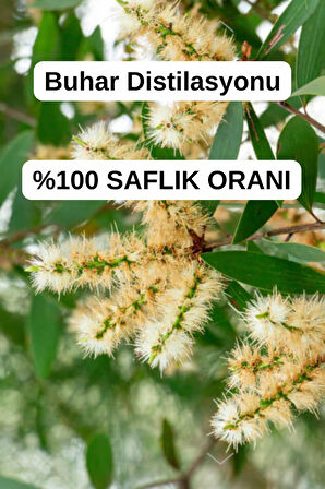 Nioli Yağı (10ml)- %100 Saf Seyreltilmemiş Niaouli Uçucu Yağı