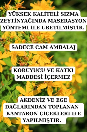 Kantaron Seti - ( Kantaron Kremi 30 ml Ve Kantaron Yağı 100 ml )