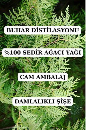 Sedir Ağacı Yağı - 10 ml (SEYRELTİLMEMİŞ, DOĞAL UÇUCU YAĞ)