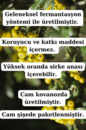 Çam Kozalağı Sirkesi ve Alıç Sirkesi ( 250 ml + 250 ml ) - Doğal Fermente