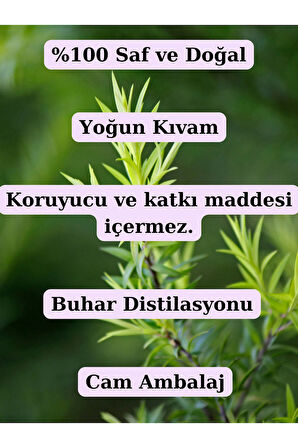 Çay ağacı hidrosolü 100ml- %100 Doğal Çay ağacı suyu