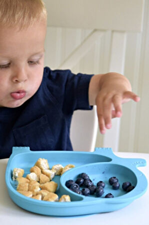 Bebek ve Çocuk için Sevimli Fil Model Desenli Yemek Bebek Mama Kabı Bölmeli Tabak 