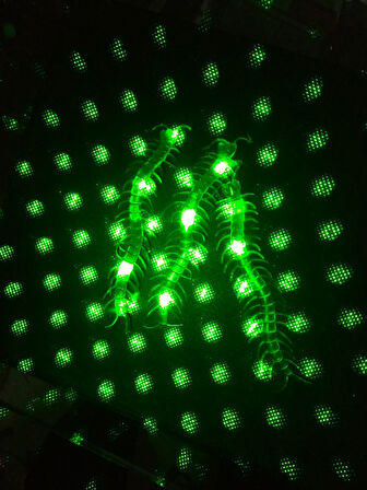 Şaka Yılan ve Kırkayak Karışık 36 Adet 