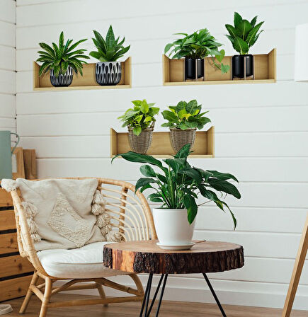 Raflı Bitki Tasarımlı Yapışkanlı Sticker 20*30 cm 3lü Set (4490)
