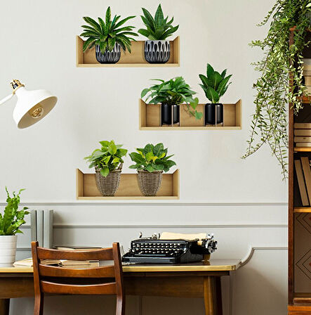 Raflı Bitki Tasarımlı Yapışkanlı Sticker 20*30 cm 3lü Set (4490)