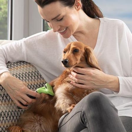 Lunaev Köpek Tarağı Tüy Toplayıcı Small 15 cm