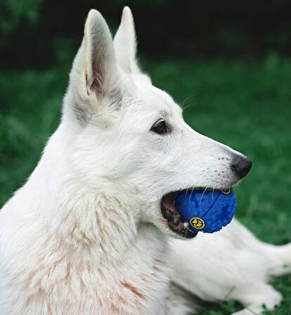 Köpek Mama Oyun Topu - Sesli